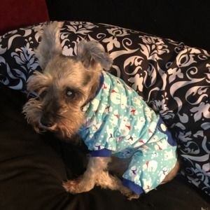 Meet your Posher, Ana